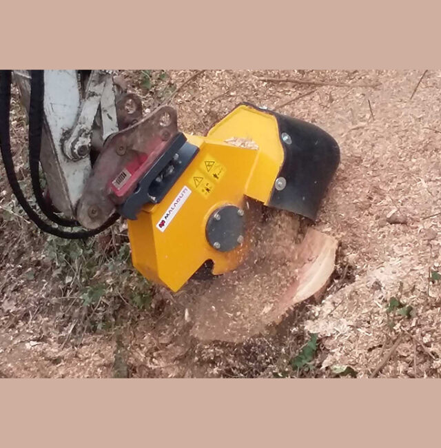 noleggio fresa per ceppi Malaguti FC11