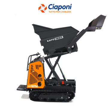 Noleggio Motocarriola telescopica Carry 107 ht a San Miniato Basso